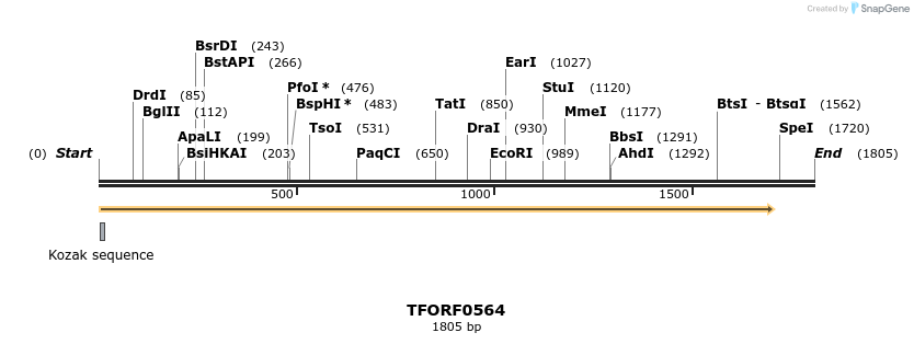 281270_map
