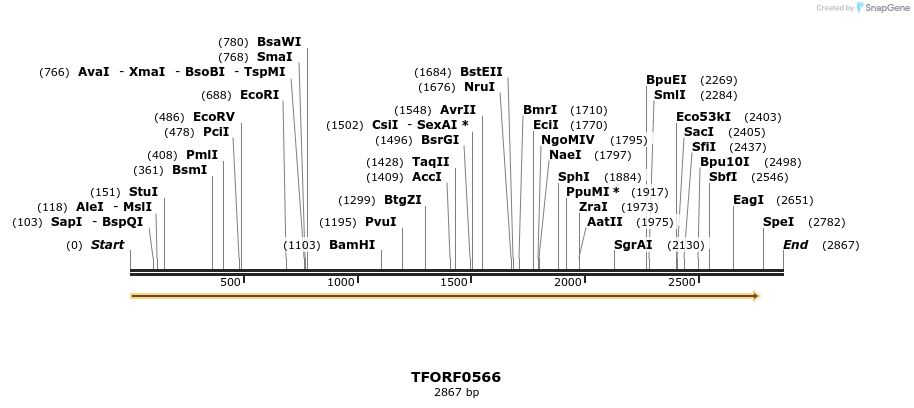 281273_map