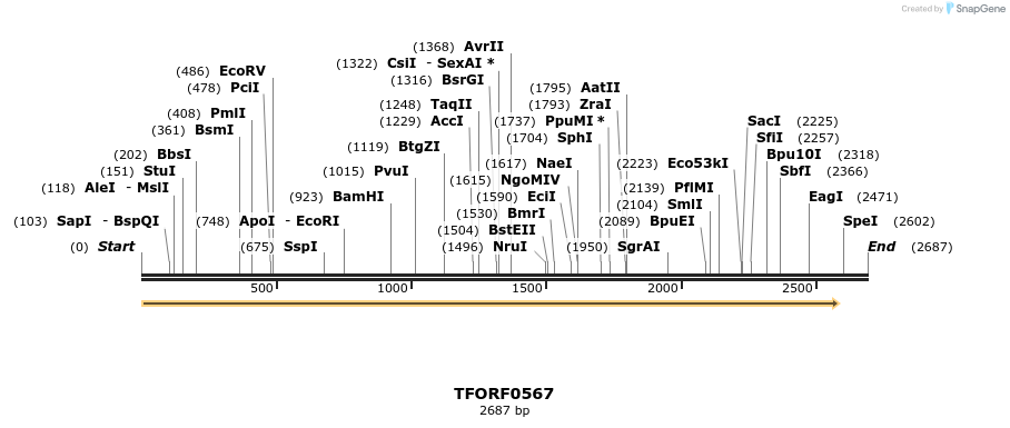281276_map