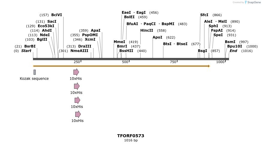281279_map