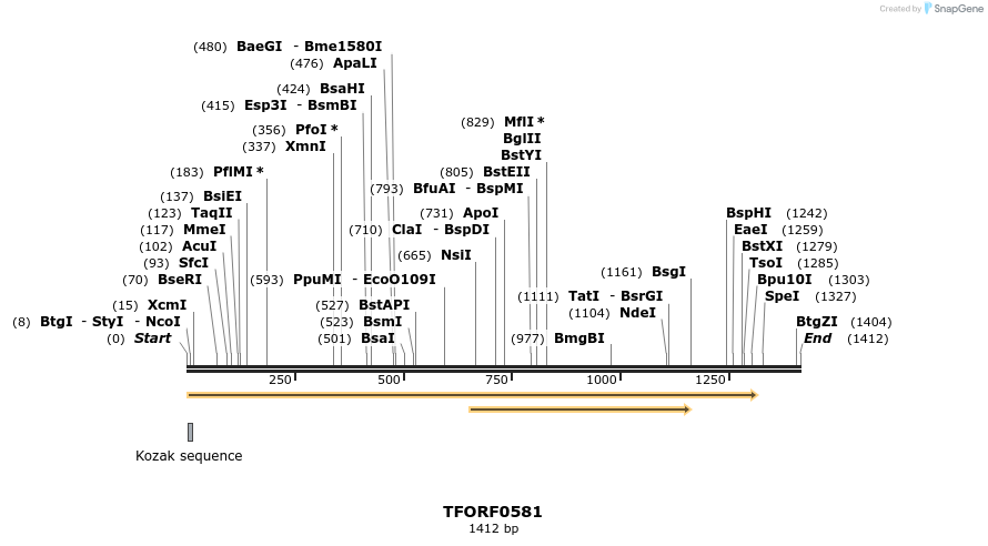 281282_map