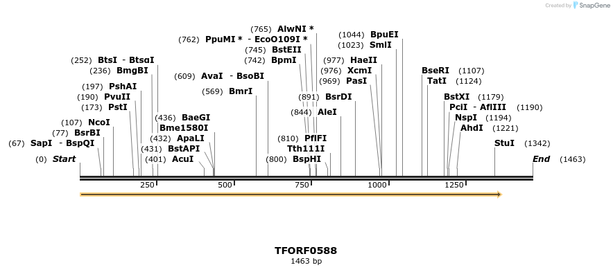 281288_map