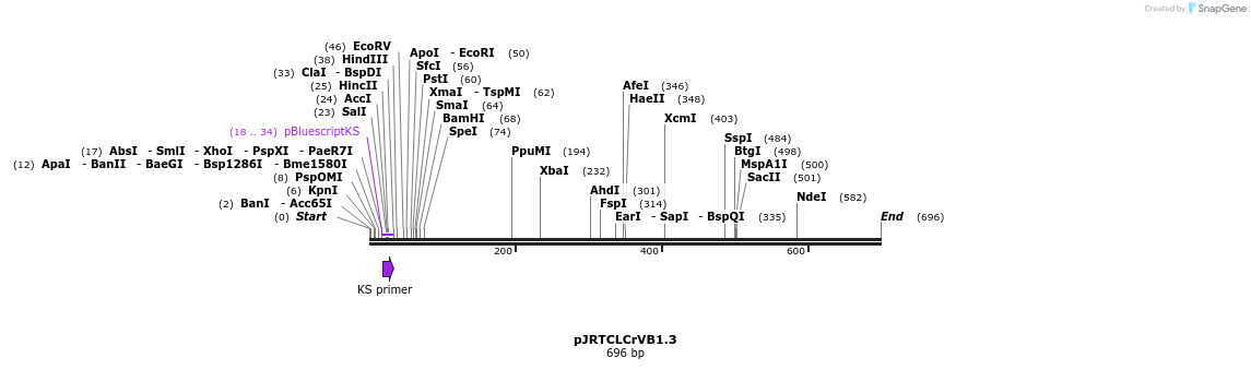28129_map