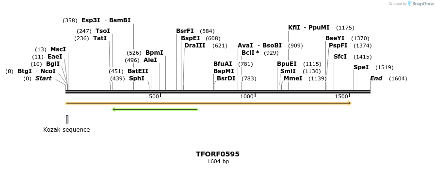 281294_map