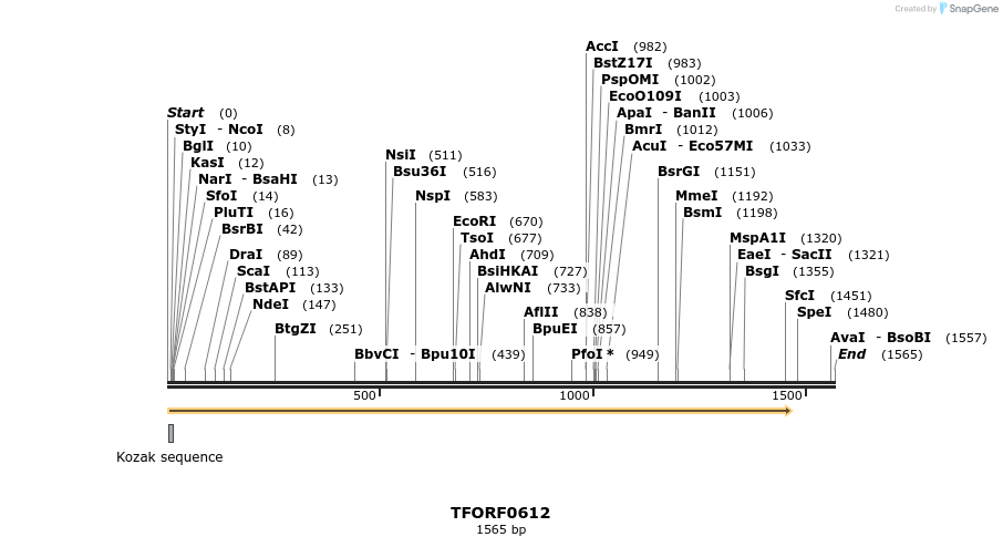 281300_map