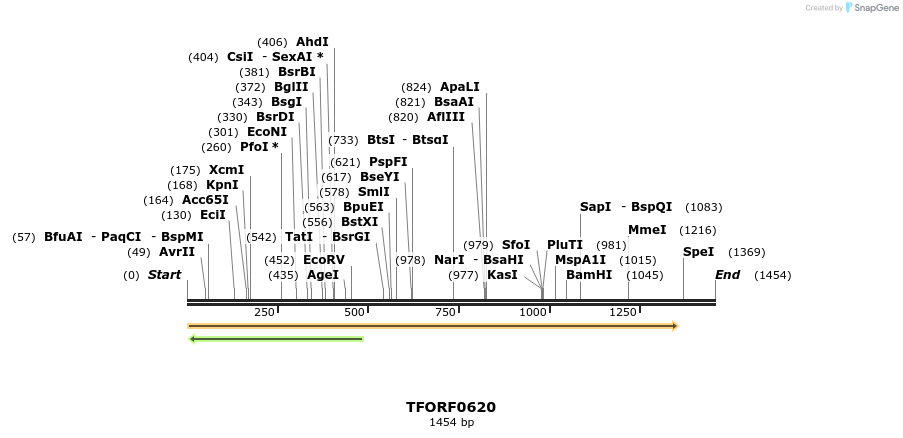 281303_map