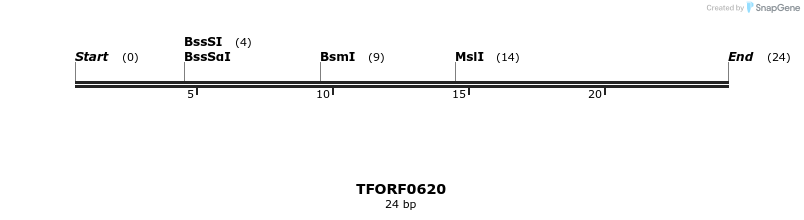 281304_map