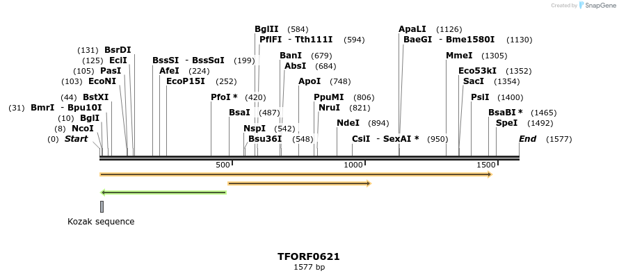 281306_map