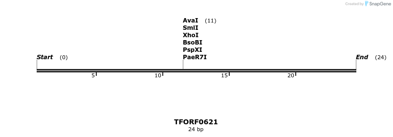 281307_map