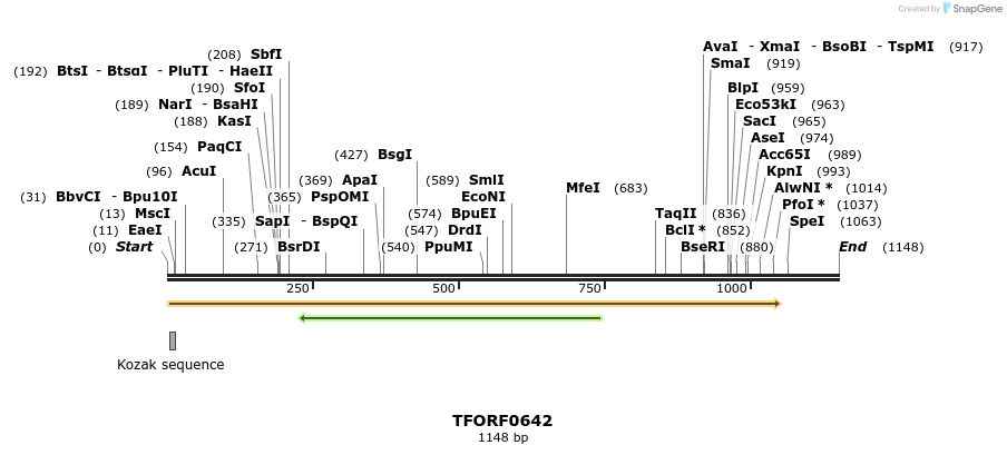 281309_map