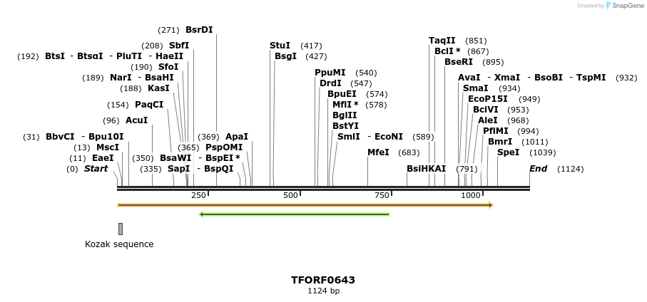 281312_map