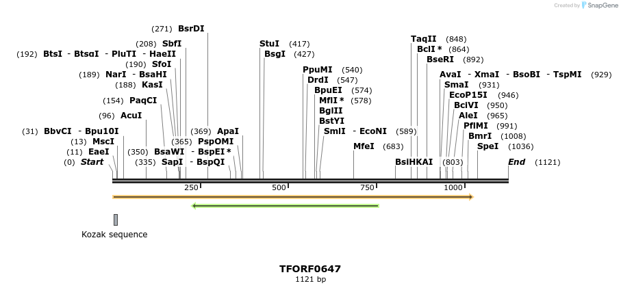 281315_map