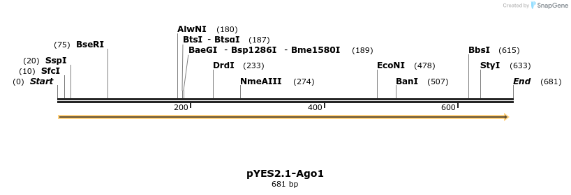 28132_map