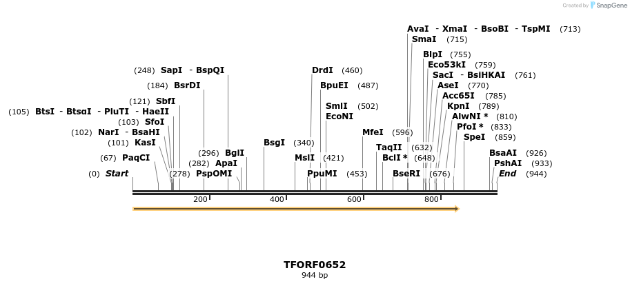 281321_map