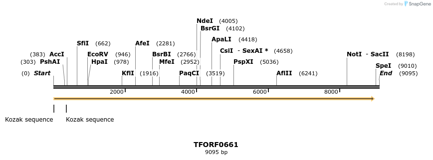 281324_map
