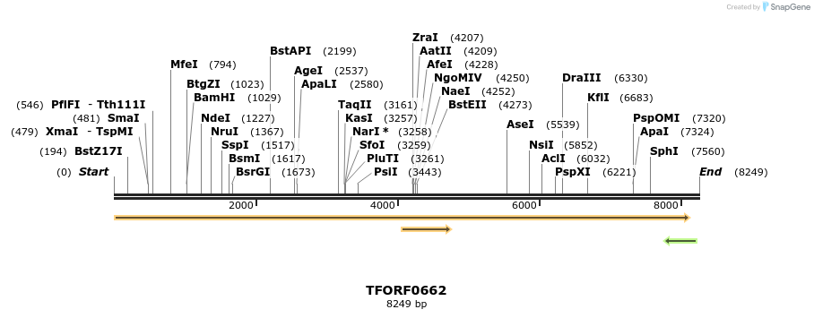 281327_map