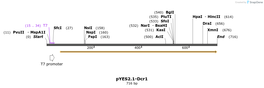 28133_map