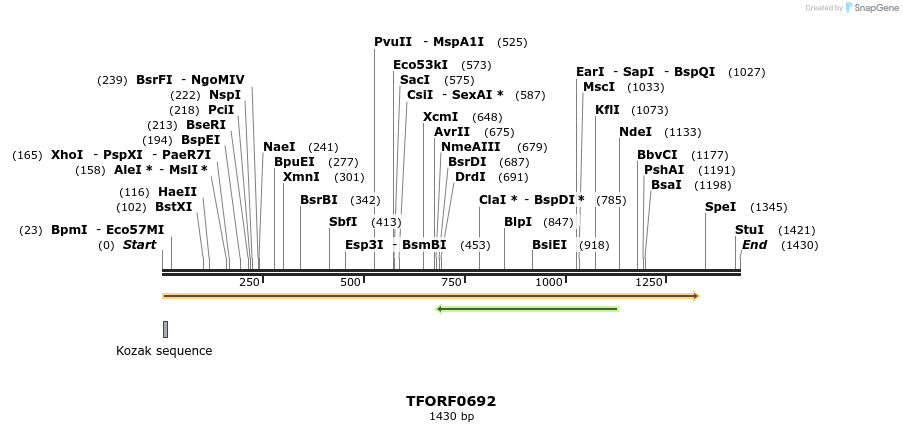 281330_map