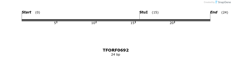 281331_map