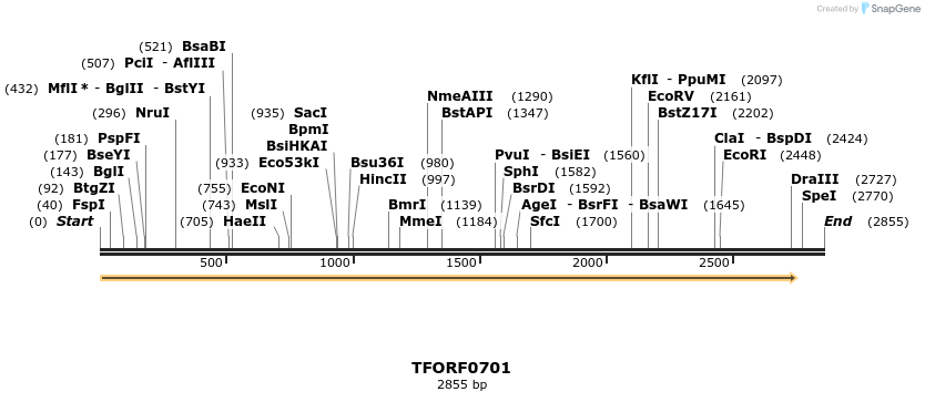 281333_map