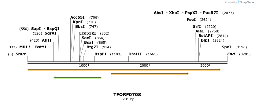 281336_map
