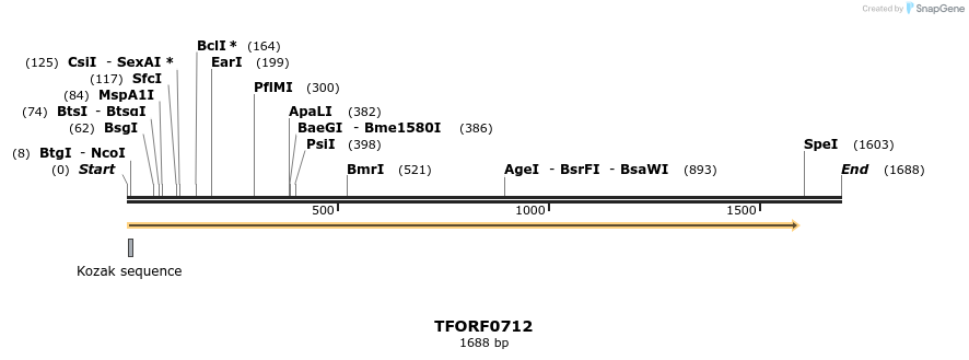 281339_map