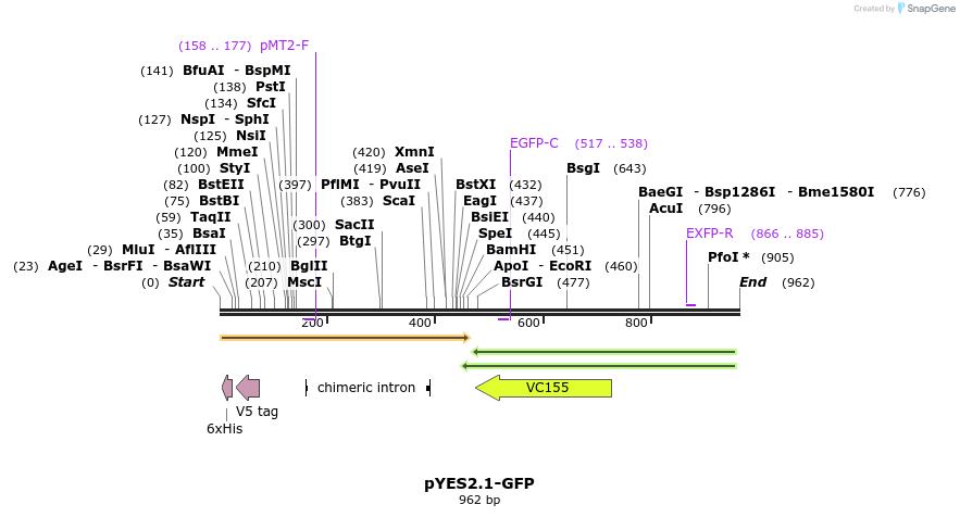 28134_map