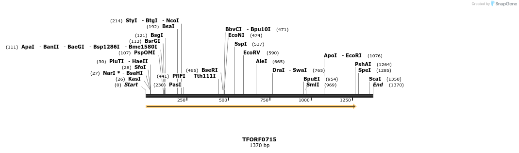 281342_map