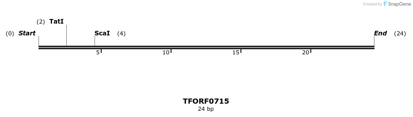 281343_map