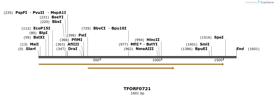 281345_map
