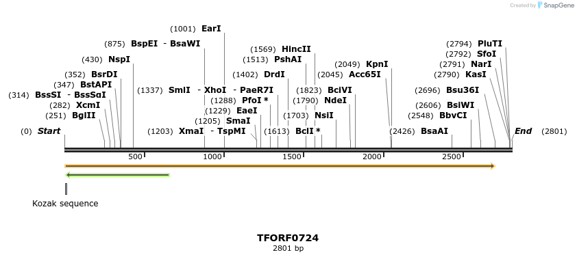 281348_map
