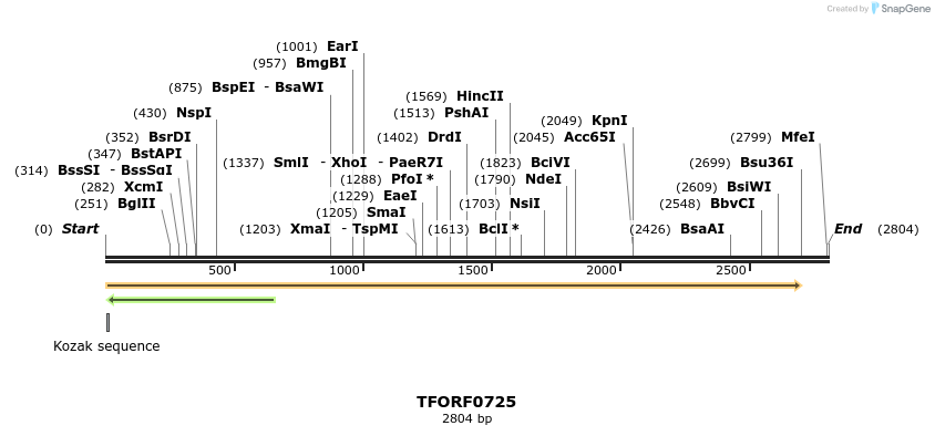 281351_map