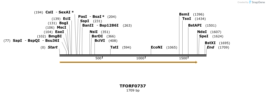 281354_map