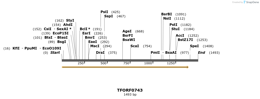 281357_map