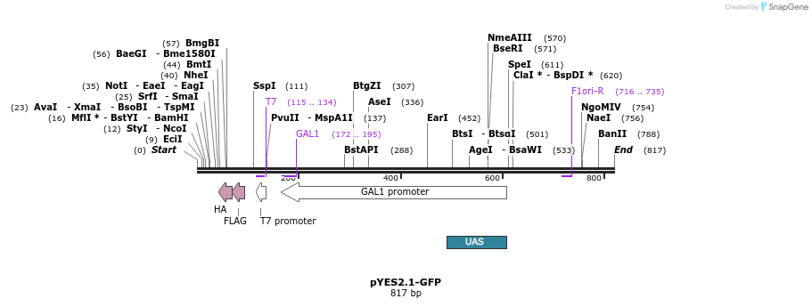 28136_map