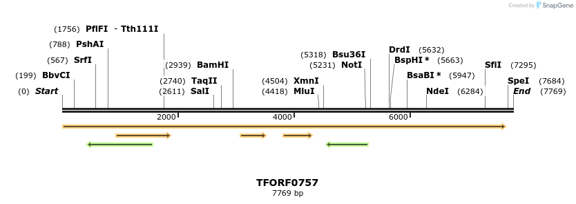 281360_map