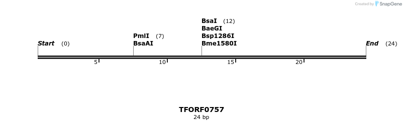 281361_map