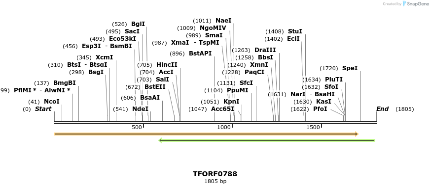 281366_map