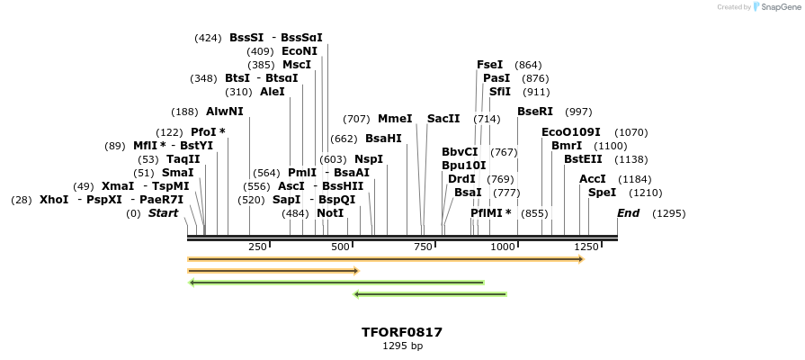 281369_map