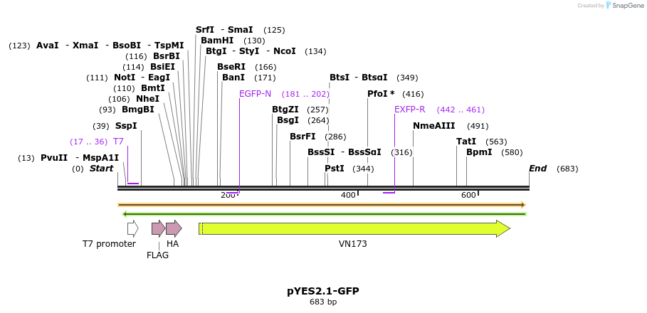 28137_map