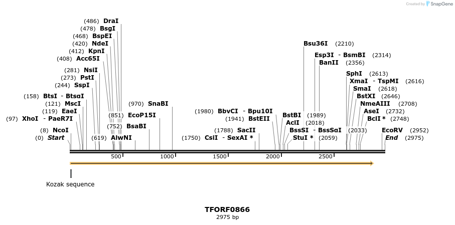 281372_map