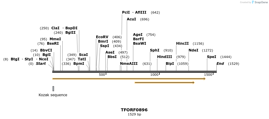 281375_map