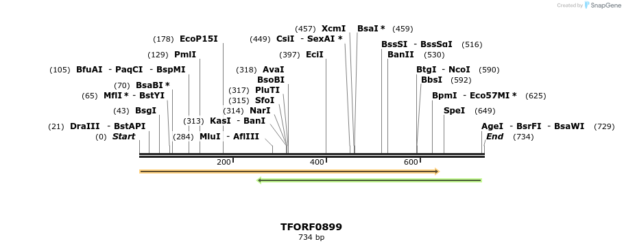 281378_map