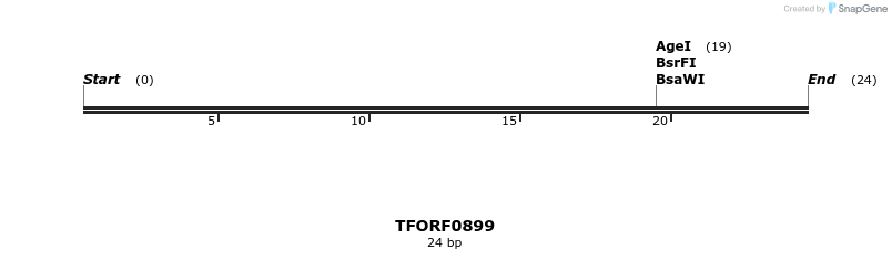 281379_map