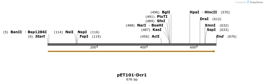 28138_map