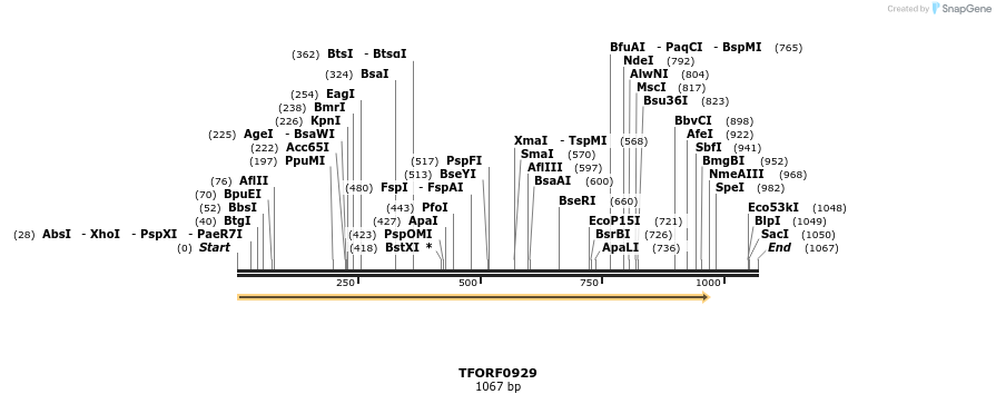 281381_map
