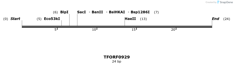 281382_map