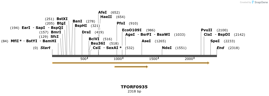 281384_map