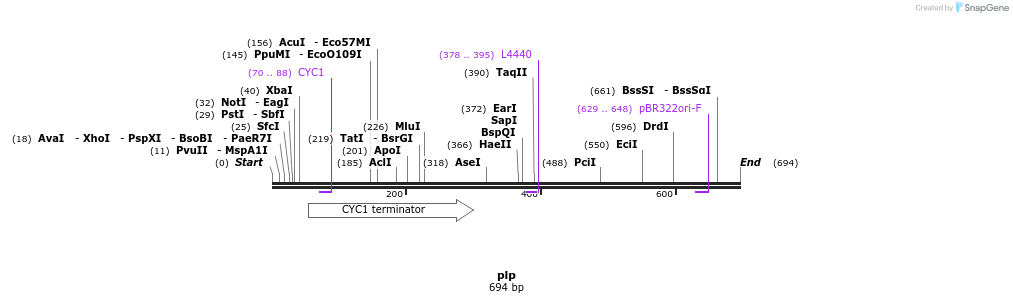 28139_map