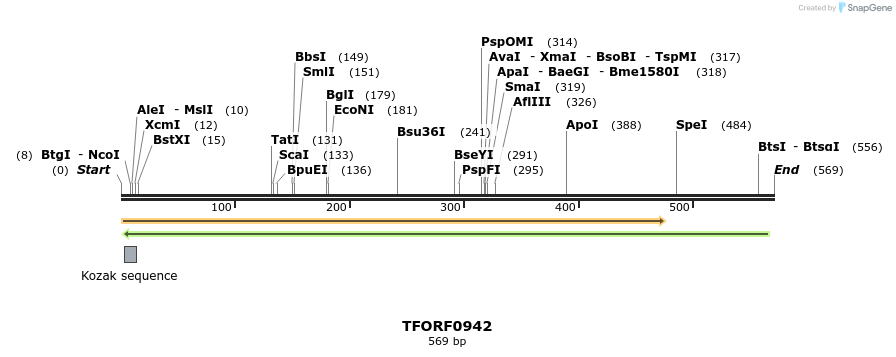281390_map